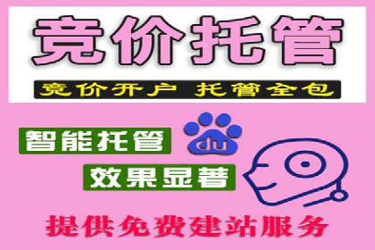 优化SEM代理策略，助力企业增长